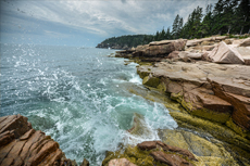 Bar Harbor Acadia National Park cruise excursion